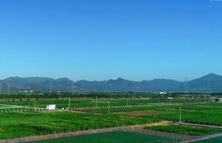 海南大力推進“南繁硅谷”建設(shè) 推動南繁產(chǎn)業(yè)高質(zhì)量發(fā)展