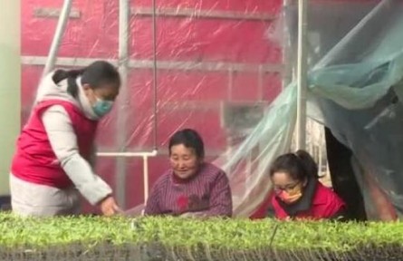 河南濟源：科技特派員助力春耕生產(chǎn)