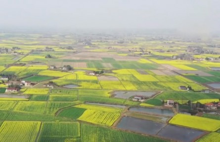 湖北當(dāng)陽(yáng)：搶抓農(nóng)時(shí)不負(fù)春 蔬菜基地耕種忙