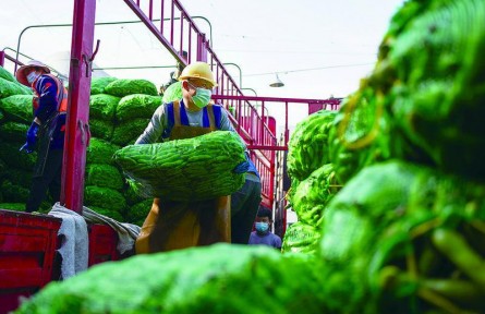 線上建群保供，線下備貨配送！上海全力以赴保障“菜籃子”供應(yīng)