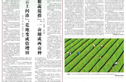 “云上問診”，荒地變成倍增田