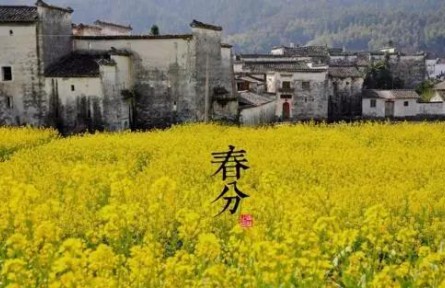 春暖花開，今日春分