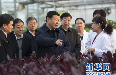習(xí)近平三農(nóng)觀：農(nóng)業(yè)現(xiàn)代化關(guān)鍵在科技進步