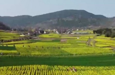 陜西：穩(wěn)糧食 保耕地 防返貧 2022年將全面推進(jìn)鄉(xiāng)村振興六項重點(diǎn)工作