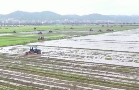 湖南：堅持疫情防控和春耕生產(chǎn)“兩不誤”?