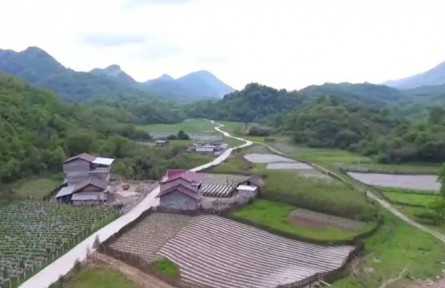 陜西：推廣新技術 確保農(nóng)戶穩(wěn)產(chǎn)增收