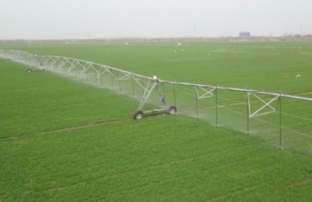 山東：智慧化春管 夯實夏糧豐收基礎