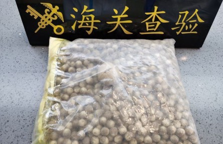 海關(guān)科普：從國外引進(jìn)植物種子的檢疫流程