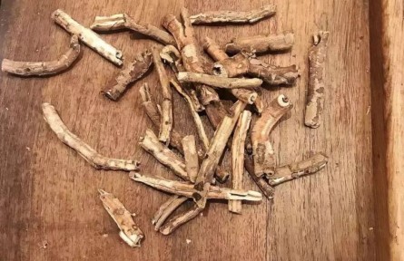 健康問答 | 怎樣煎中藥、喝中藥才能獲得好藥效？