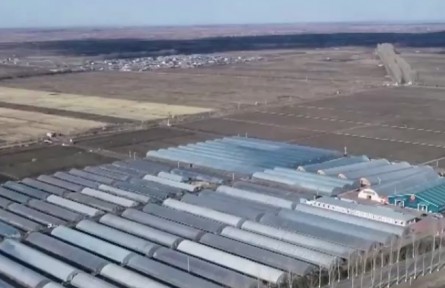 黑龍江：水稻種植正在進行浸種催芽工作