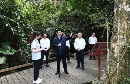 習(xí)近平：森林是水庫(kù)、錢(qián)庫(kù)、糧庫(kù)，現(xiàn)在應(yīng)該再加上一個(gè)“碳庫(kù)”