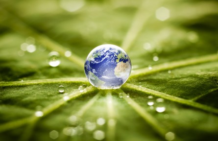 科技名詞 | 環(huán)境信息公開(kāi)  environmental information disclosure