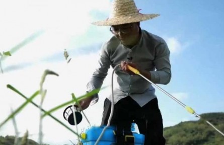 水稻栽培師李建武：扎根稻田 做一?！昂梅N子”