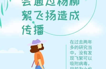 辟謠 | 飛絮會不會傳播新冠病毒？易過敏人群應(yīng)如何做好防護(hù)？