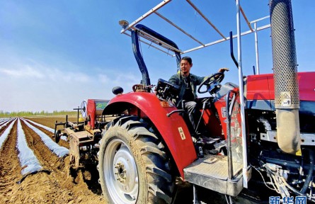 “用衛(wèi)星種地”的新農(nóng)人