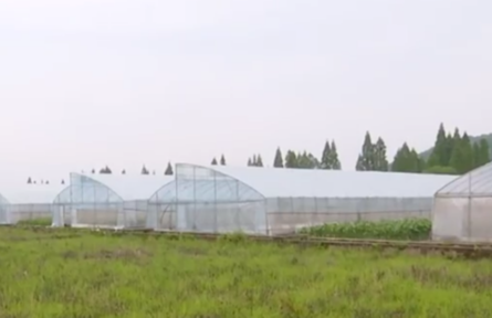 強(qiáng)省會(huì)，湖南長(zhǎng)沙這樣打造“種業(yè)硅谷”