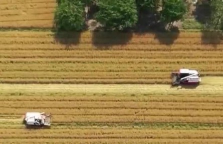 【在希望的田野上·三夏時節(jié)】我國夏收拉開序幕 大規(guī)模機(jī)收即將展開