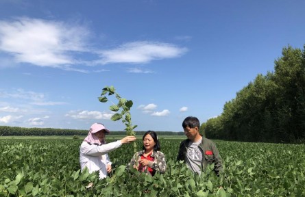 “豆大”的事兒，她一干就是37年