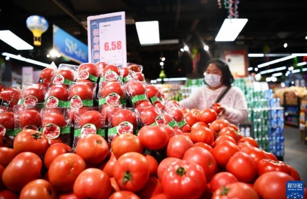 經(jīng)濟(jì)形勢(shì)怎么看？穩(wěn)就業(yè)、穩(wěn)物價(jià)如何發(fā)力？——國(guó)家發(fā)展改革委回應(yīng)經(jīng)濟(jì)熱點(diǎn)