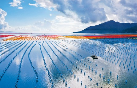 《求是》雜志編輯部：讓中華大地天更藍(lán)、山更綠、水更清、環(huán)境更優(yōu)美