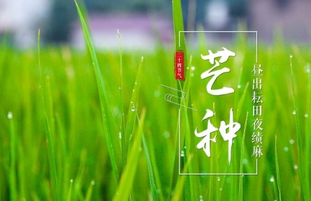 芒種，晝出耘田夜績麻