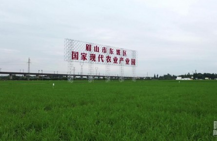 時政新聞眼 | 習近平再赴四川考察，在眉山重點關注了什么？