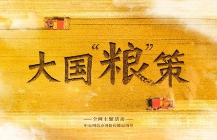 大國“糧”策