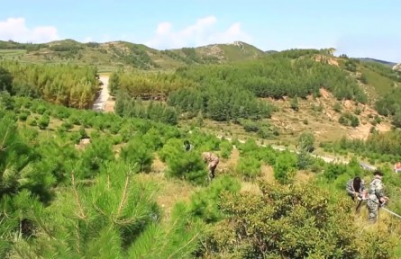 三北防護林工程有效防護農(nóng)田超3000萬公頃