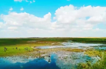 大美邊疆行 | 駿馬揚(yáng)鬃逐夢去，民富邊興幸福長