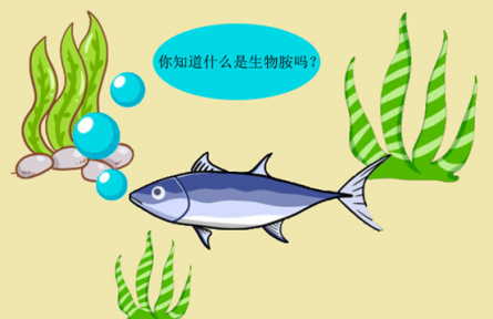 科普 | 生物胺是什么？