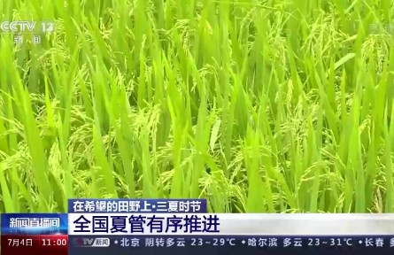 三分種七分管 全國夏管有序推進