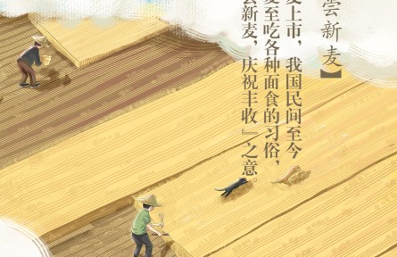 夏至丨喜嘗新麥！你最愛吃哪款面食？