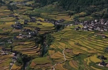 2022年上半年鞏固脫貧成果接續(xù)鄉(xiāng)村振興新進(jìn)展：通過(guò)產(chǎn)業(yè)就業(yè)幫扶 增加脫貧戶收入