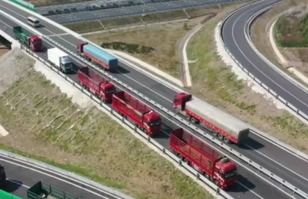 物流業(yè)裝上“智慧大腦” 助力企業(yè)降本增效