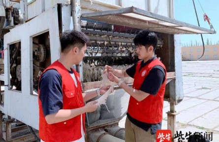 效率提高20倍！南京林業(yè)大學(xué)學(xué)子發(fā)明智能分揀系統(tǒng)，助力新疆長(zhǎng)絨棉豐產(chǎn)增收