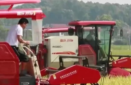 湖南寧鄉(xiāng)：早稻陸續(xù)進入收獲期 大面積收割開始