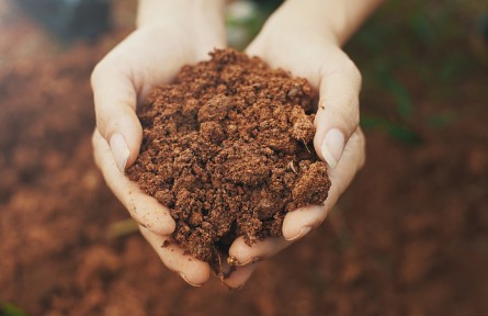 科技名詞 | 土壤有機質(zhì)  soil organic matter