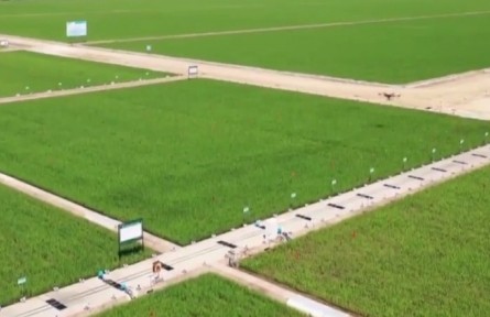 黑龍江：科技助力 夏管“添翼”