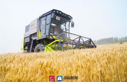 山東省德州市：多輪驅(qū)動 向高產(chǎn)穩(wěn)產(chǎn)優(yōu)產(chǎn)進發(fā)