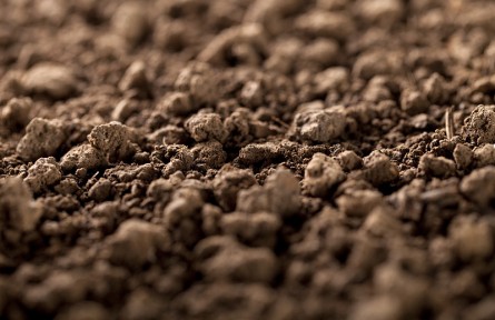 科技名詞 | 土壤質(zhì)量  soil quality