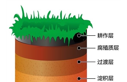 科普 | 黑土地為什么是黑色的？