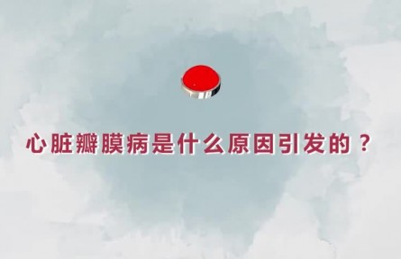 健康問答 | 心臟瓣膜病是什么原因引發(fā)的？如何精準(zhǔn)治療？