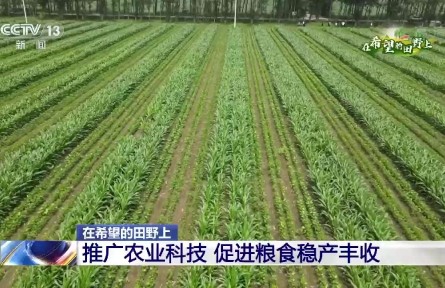 數(shù)字信息采集、肥水一體化自動灌溉……這些智慧農(nóng)業(yè)設(shè)施幫助農(nóng)民抗旱保豐收