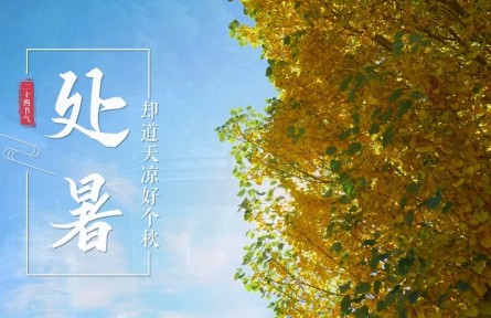 處暑，卻道天涼好個(gè)秋