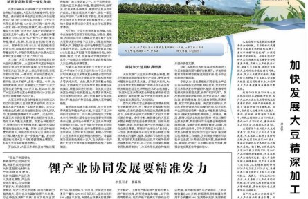 大豆玉米復合種植還需闖關(guān)