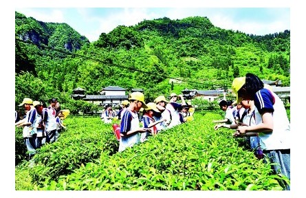 “耕”以強(qiáng)體，“讀”以潤心——我國耕讀教育開展情況調(diào)研報告