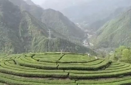 湖北：技術下鄉(xiāng) 服務下沉 助力災后田管