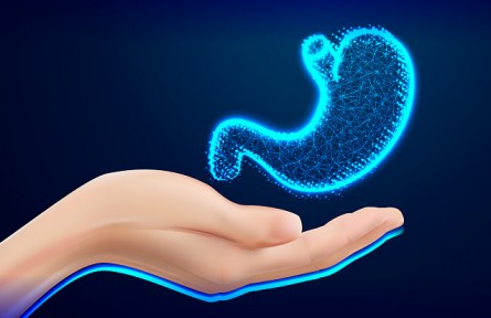 胃越撐越大、越餓越小是真的嗎？