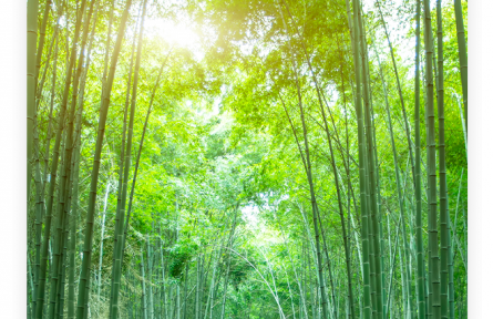 名言 | 孔子：君子不以言舉人，不以人廢言