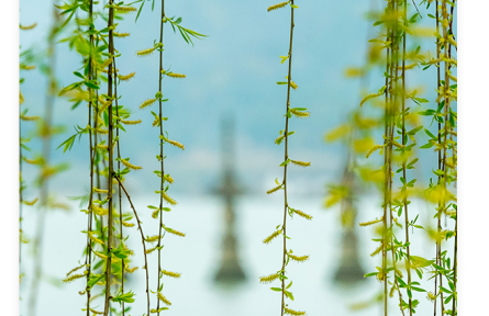 名言 | 荀子：善學(xué)者盡其理，善行者究其難